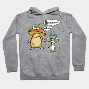 Boletus edulis? What? "'Crazy mushrooms'' Hoodie